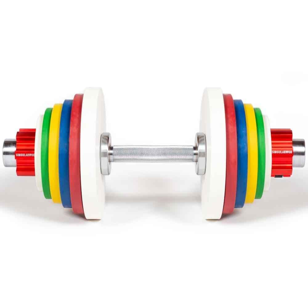 Haltere AJUSTÁVEL COM DISCOS FRACIONAIS