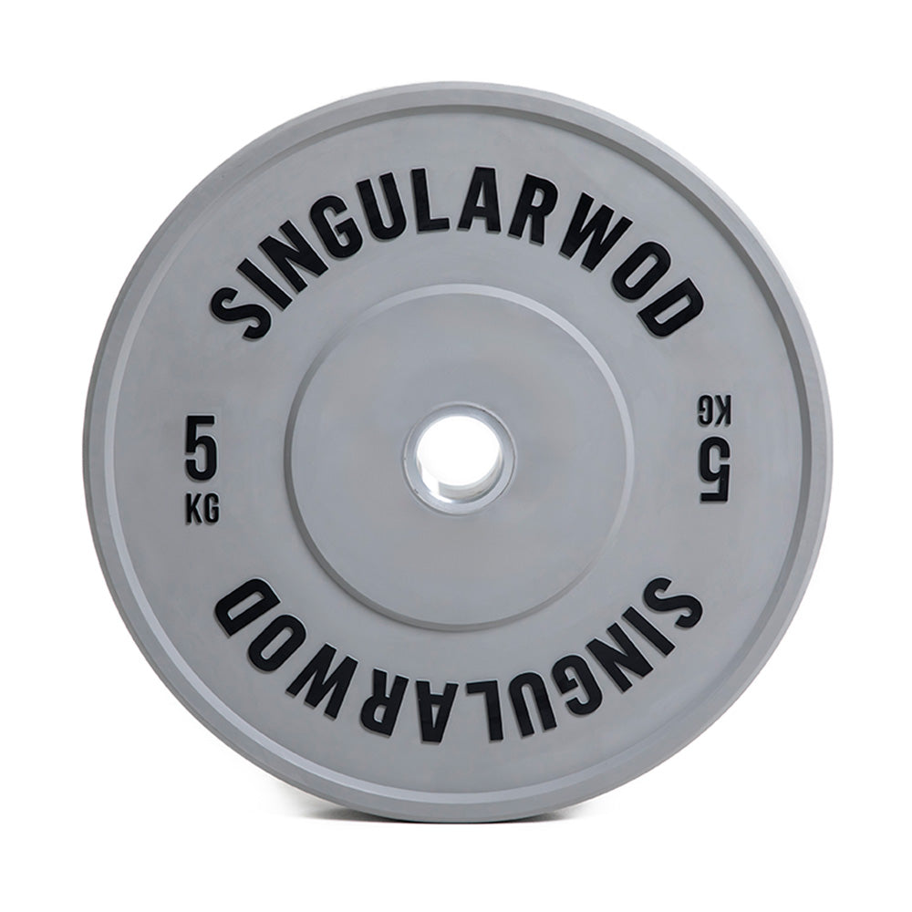 DISCO TRAINING GREY - SINGULARWOD