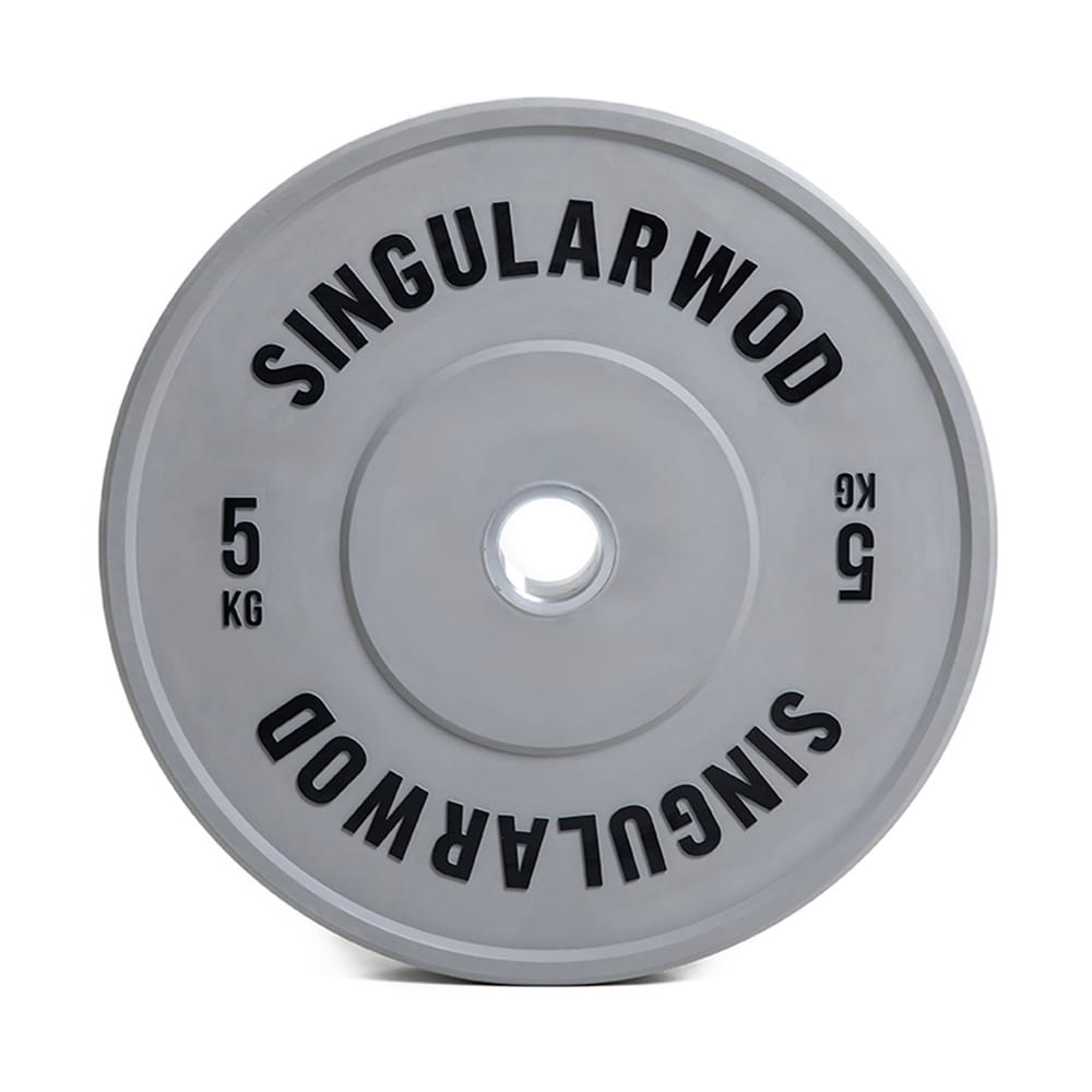 DISCO TRAINING GREY - SINGULARWOD