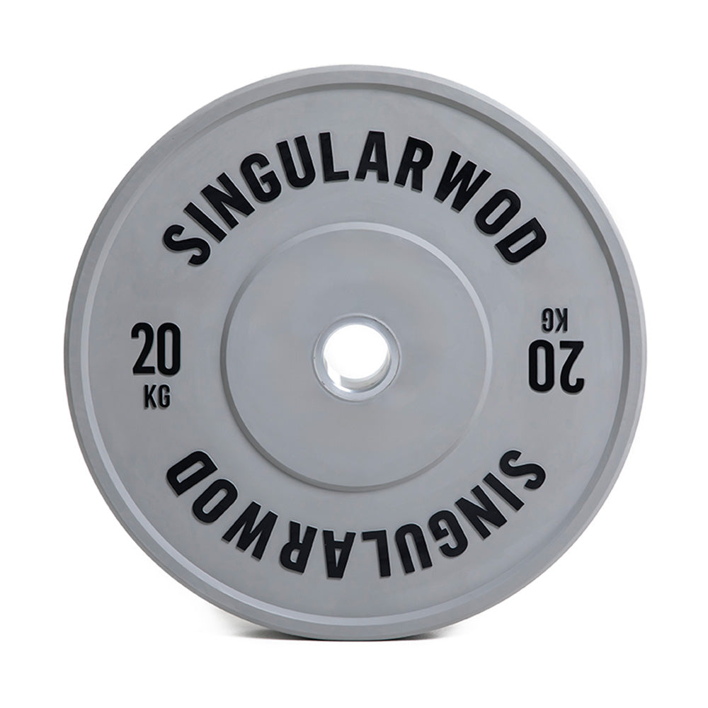 DISCO TRAINING GREY - SINGULARWOD