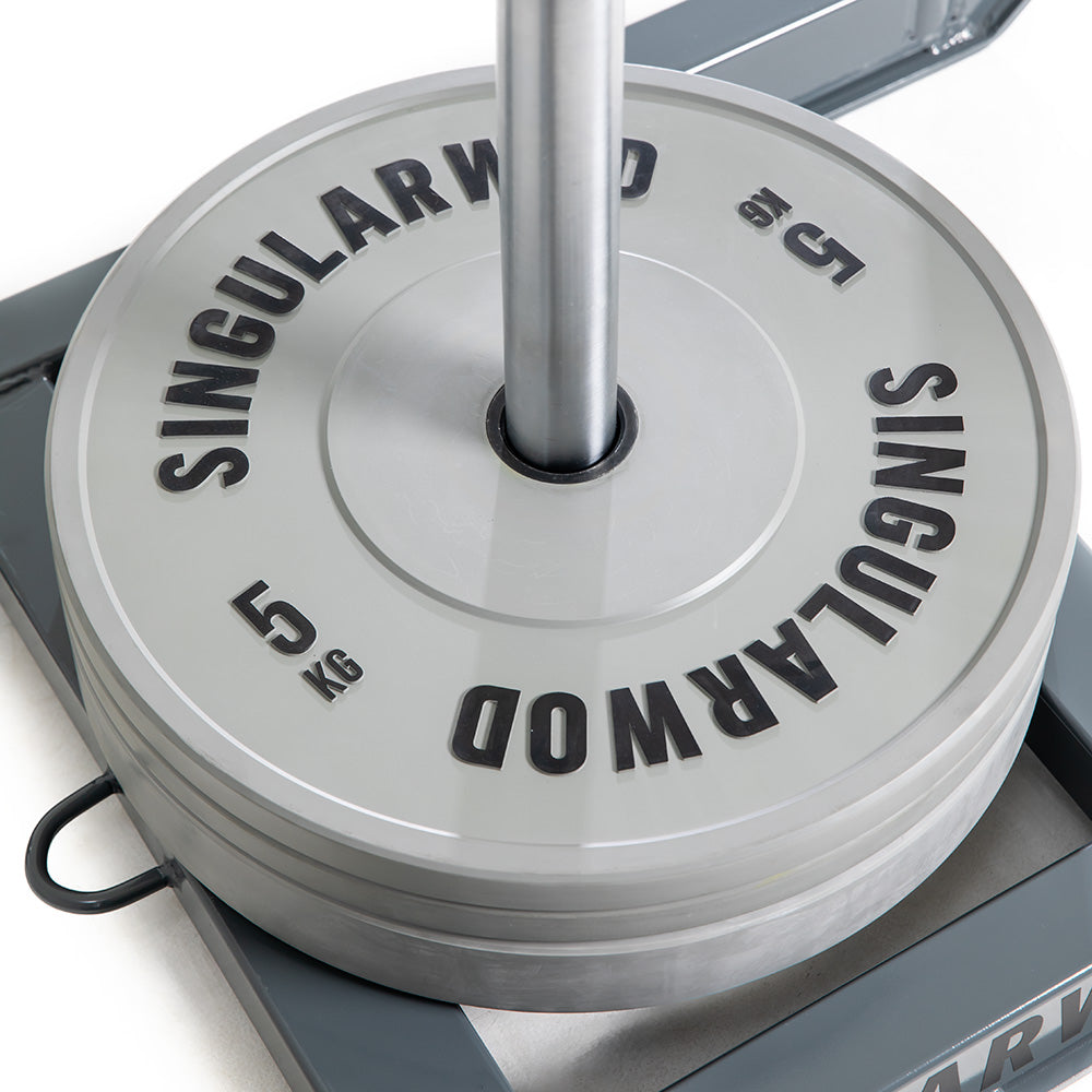 TRINEO HYBRID SINGULARWOD