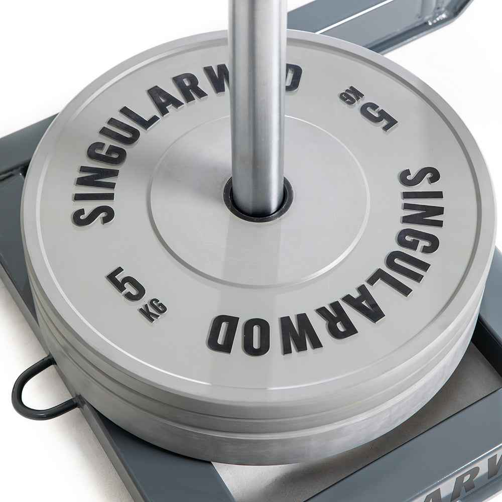 TRINEO HYBRID SINGULARWOD