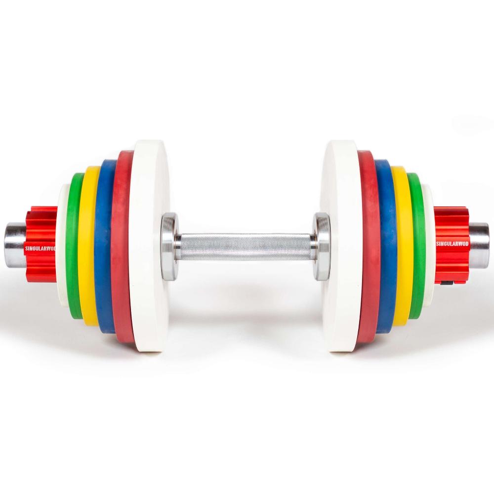 Adjustable Fractional Disc Dumbbells