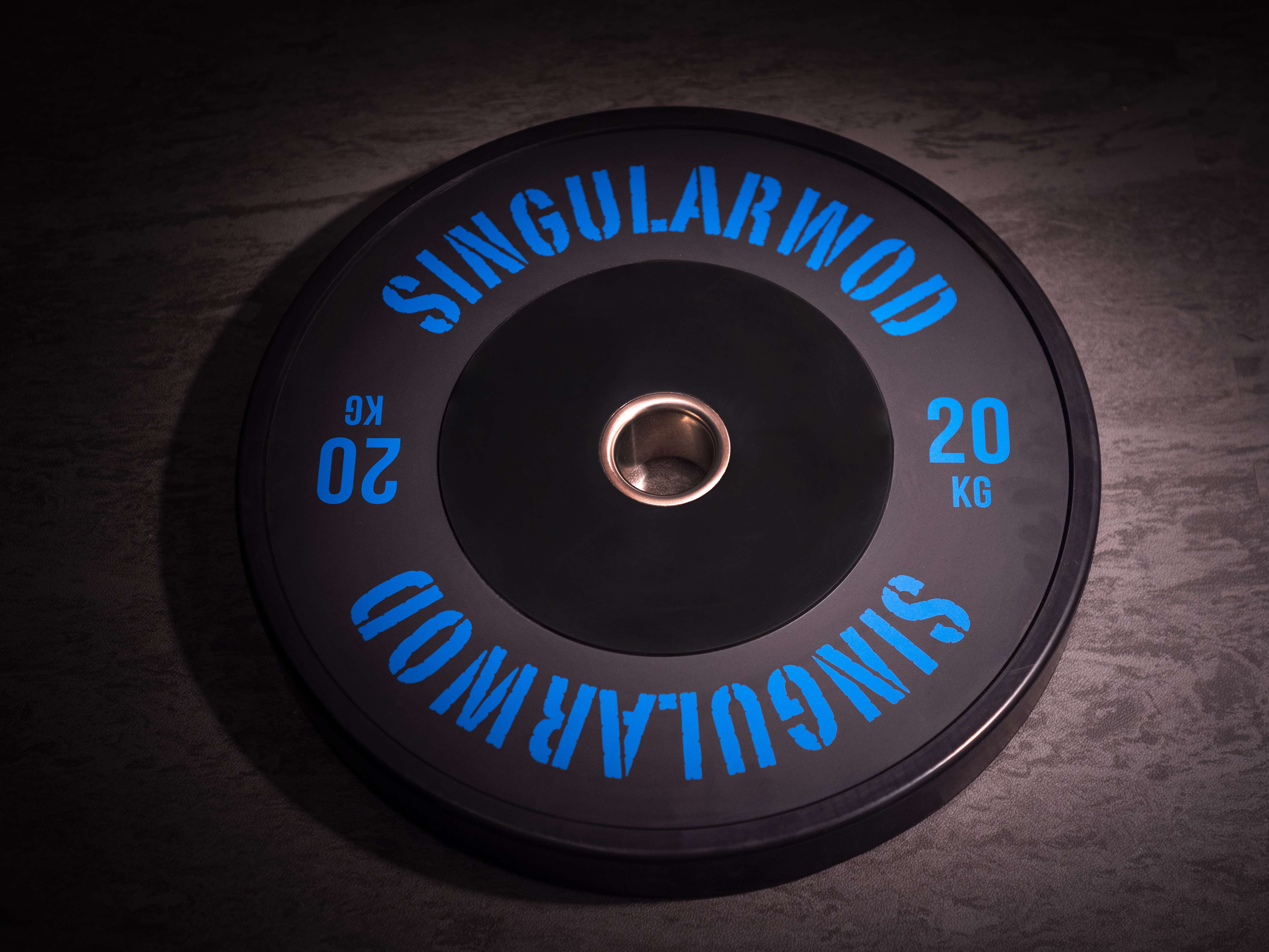 Training Plus Discs <tc>SINGULARWOD</tc>